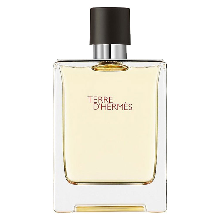 ادو تویلت مردانه اماراتی HERMES Terre d’Hermes حجم 100 میلی لیتر